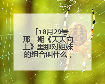 10月29号那一期《天天向上》里那对姐妹的组合叫什么,她们都唱了哪几首歌?