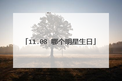 11.08 哪个明星生日