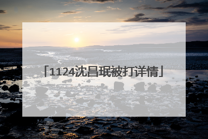 1124沈昌珉被打详情