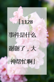 1128事件是什么谢谢了，大神帮忙啊
