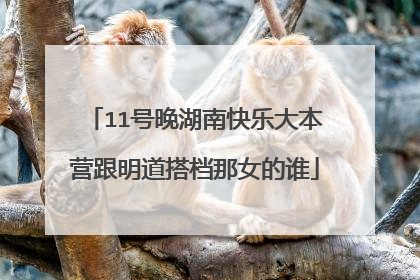 11号晚湖南快乐大本营跟明道搭档那女的谁