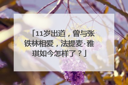 11岁出道,曾与张铁林相爱,法提麦·雅琪如今怎样了?
