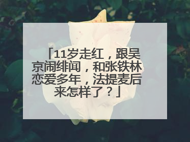 11岁走红,跟吴京闹绯闻,和张铁林恋爱多年,法提麦后来怎样了?