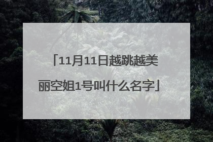11月11日越跳越美丽空姐1号叫什么名字