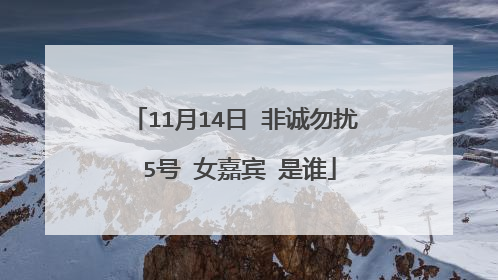 11月14日 非诚勿扰 5号 女嘉宾 是谁