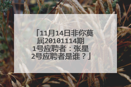 11月14日非你莫属20101114期 1号应聘者:张星 2号应聘者是谁?