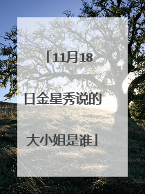 11月18日金星秀说的大小姐是谁
