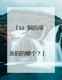 12 铜首成龙捐的哪个？