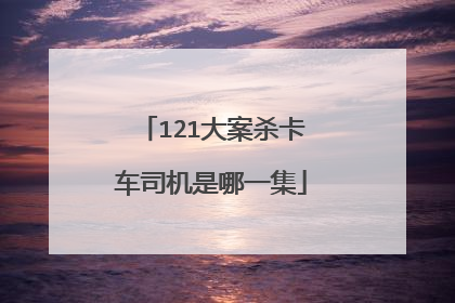 121大案杀卡车司机是哪一集