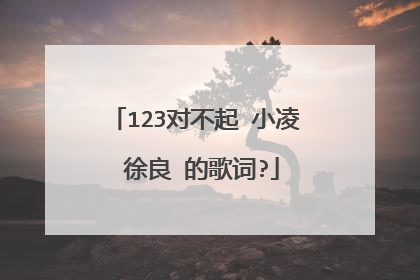 123对不起 小凌 徐良 的歌词?