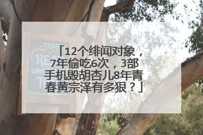 12个绯闻对象，7年偷吃6次，3部手机毁胡杏儿8年青春黄宗泽有多狠？