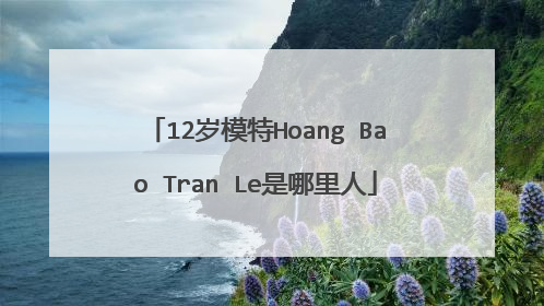 12岁模特Hoang Bao Tran Le是哪里人
