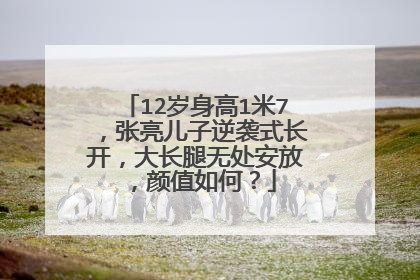 12岁身高1米7,张亮儿子逆袭式长开,大长腿无处安放,颜值如何?