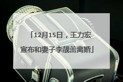 12月15日，王力宏宣布和妻子李靓蕾离婚
