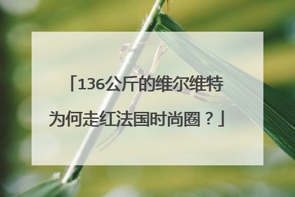136公斤的维尔维特为何走红法国时尚圈？