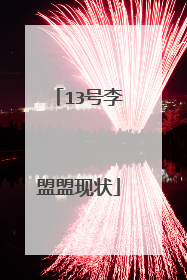 13号李盟盟现状