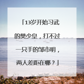 13岁开始习武的樊少皇，打不过一只手的邹市明，两人差距在哪？