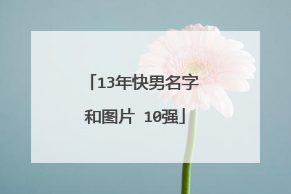 13年快男名字和图片 10强