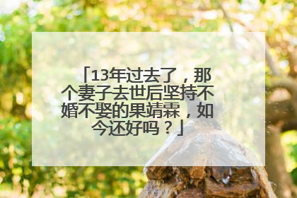 13年过去了，那个妻子去世后坚持不婚不娶的果靖霖，如今还好吗？