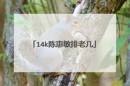 14k陈惠敏排老几