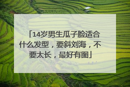 14岁男生瓜子脸适合什么发型，要斜刘海，不要太长，最好有图