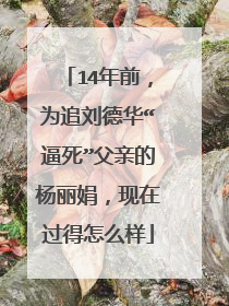 14年前,为追刘德华“逼死”父亲的杨丽娟,现在过得怎么样