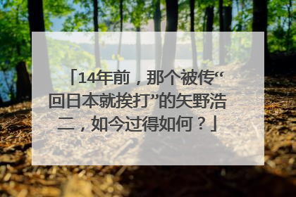 14年前,那个被传“回日本就挨打”的矢野浩二,如今过得如何?
