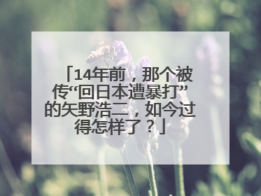 14年前,那个被传“回日本遭暴打”的矢野浩二,如今过得怎样了?