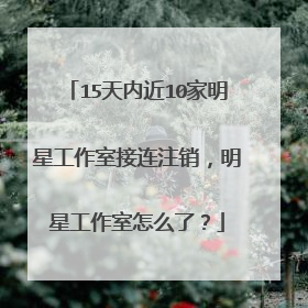 15天内近10家明星工作室接连注销,明星工作室怎么了?