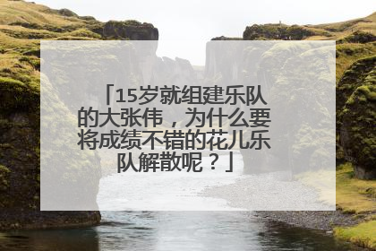 15岁就组建乐队的大张伟，为什么要将成绩不错的花儿乐队解散呢？