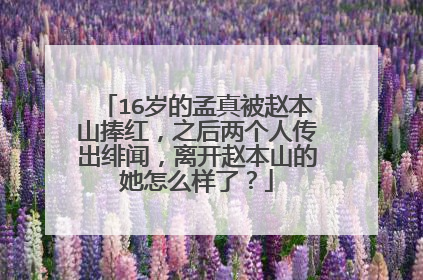 16岁的孟真被赵本山捧红,之后两个人传出绯闻,离开赵本山的她怎么样了?