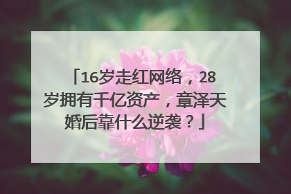 16岁走红网络,28岁拥有千亿资产,章泽天婚后靠什么逆袭?
