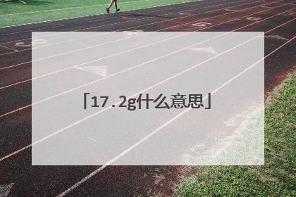 17.2g什么意思
