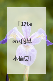 17teens的基本信息
