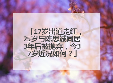 17岁出道走红,25岁与陈思诚同居3年后被抛弃,今37岁近况如何?