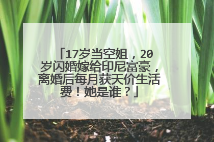 17岁当空姐，20岁闪婚嫁给印尼富豪，离婚后每月获天价生活费！她是谁？