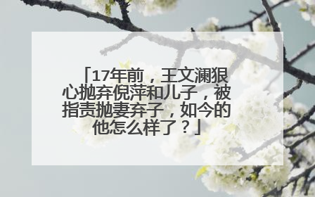 17年前,王文澜狠心抛弃倪萍和儿子,被指责抛妻弃子,如今的他怎么样了?