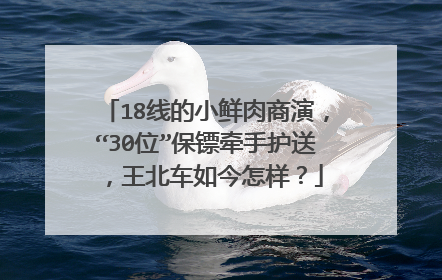 18线的小鲜肉商演,“30位”保镖牵手护送,王北车如今怎样?