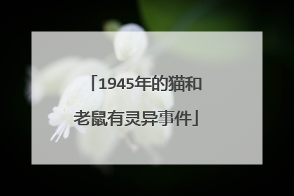 1945年的猫和老鼠有灵异事件