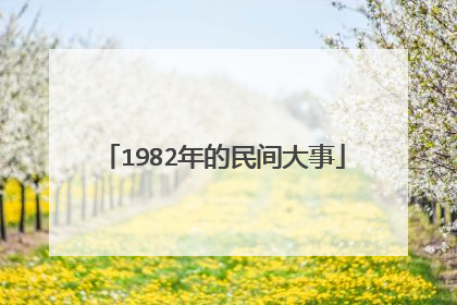 1982年的民间大事