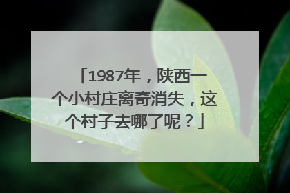 1987年,陕西一个小村庄离奇消失,这个村子去哪了呢?