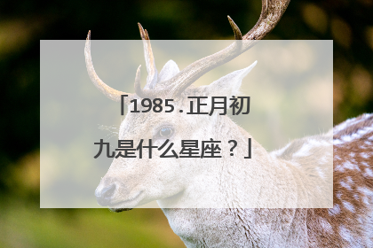 1985.正月初九是什么星座？