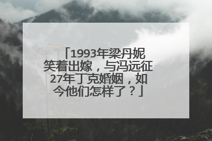 1993年梁丹妮笑着出嫁,与冯远征27年丁克婚姻,如今他们怎样了?