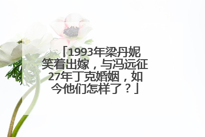 1993年梁丹妮笑着出嫁，与冯远征27年丁克婚姻，如今他们怎样了？