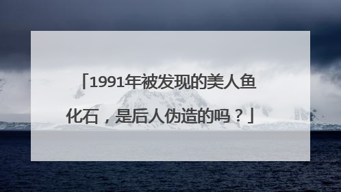 1991年被发现的美人鱼化石，是后人伪造的吗？