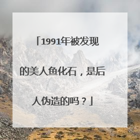 1991年被发现的美人鱼化石，是后人伪造的吗？