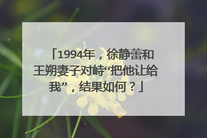 1994年,徐静蕾和王朔妻子对峙“把他让给我”,结果如何?