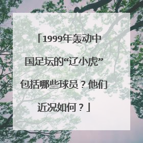 1999年轰动中国足坛的“辽小虎”包括哪些球员？他们近况如何？