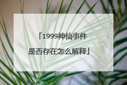 1999神仙事件是否存在怎么解释