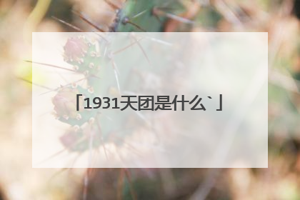 1931天团是什么`